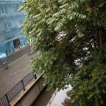 City Central
